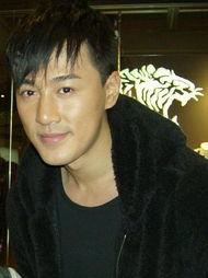 林峰近期爆料视频大全,揭秘幕后故事与心路历程