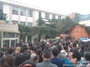 云南小学爆料事件最新,揭开校园安全与管理的隐秘面纱 第1张 云南小学爆料事件最新,揭开校园安全与管理的隐秘面纱 第1张