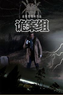 诡案组电视剧在线观看,悬疑迷雾中的真相探寻  第2张